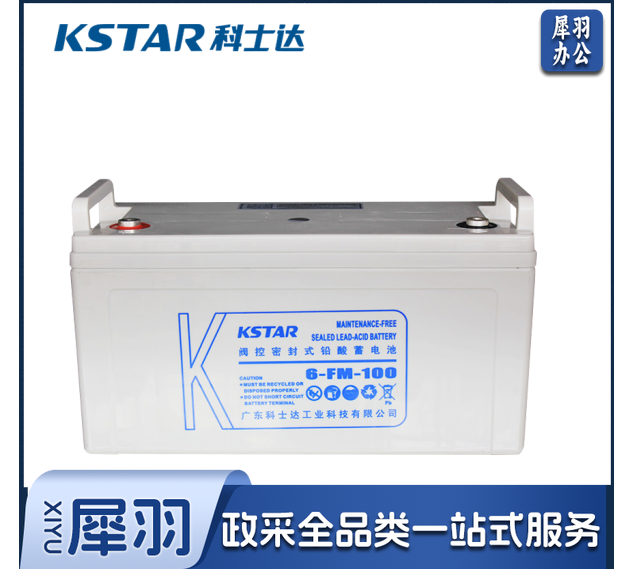 科士达 6-FM-100 12V100AH 铅酸蓄电池