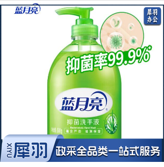 蓝月亮洗手液500克/瓶