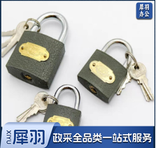 锁头防水防锈锁具 宿舍门锁抽屉柜子防盗窗小锁头 38MM 1锁头10把钥匙