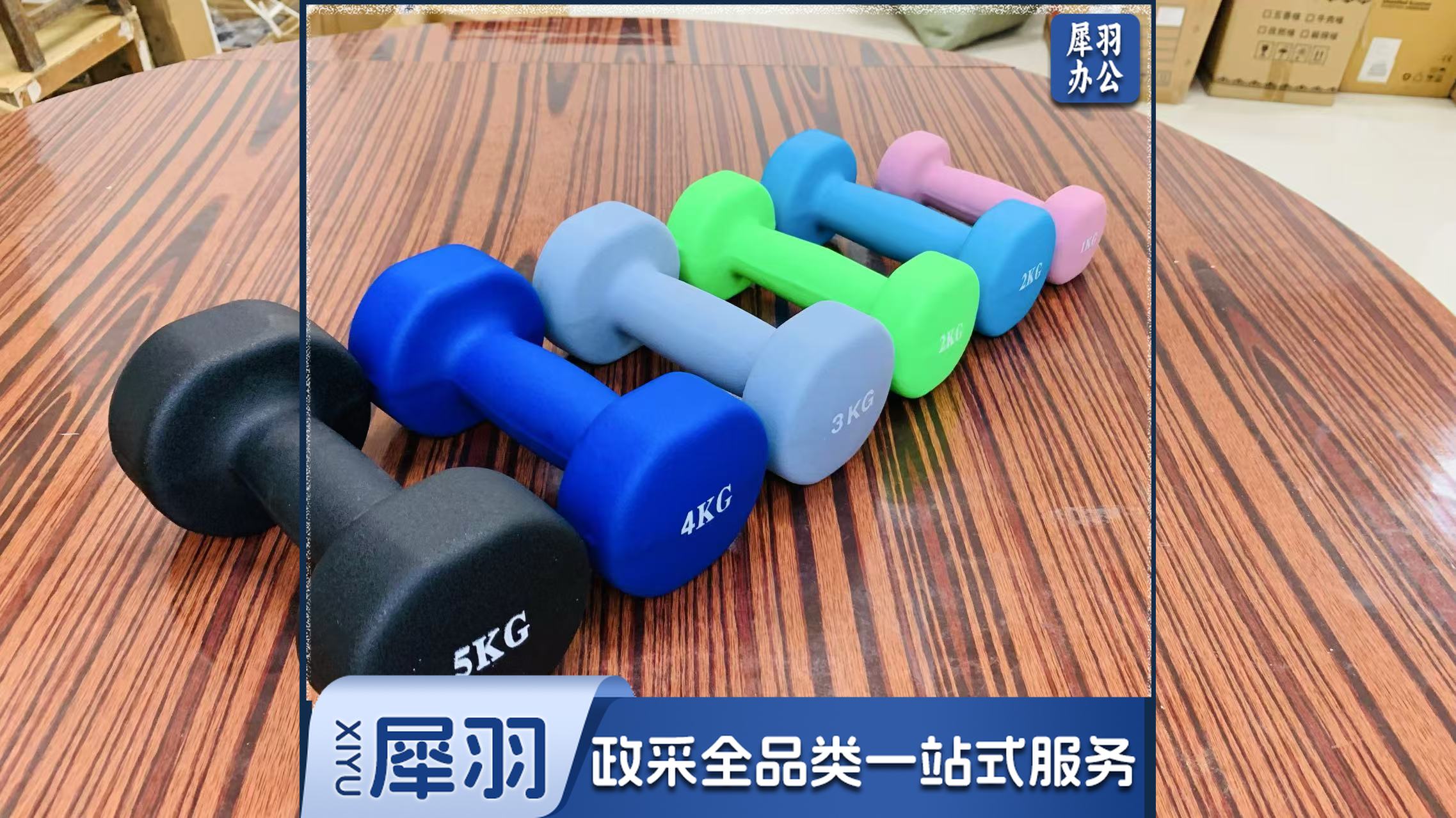 男女家用家庭健身肌肉塑形手臂轻重量哑铃5kg  紫色