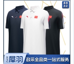 安踏国旗短袖POLO衫 462330102雪花白