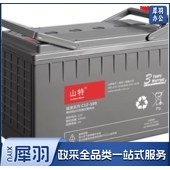山特（SANTAK）C12-100AH 免维护 铅酸蓄电池
