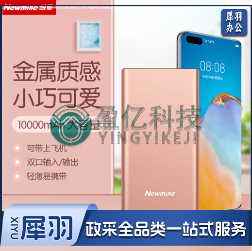纽曼 （Newmine ）移动电源10000毫安时双USB输出Type-C输入金属充电宝M106