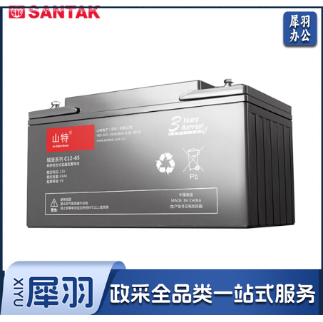 山特（SANTAK）C12-65AH 山特UPS电源电池免维护铅酸蓄电池 12V65AH