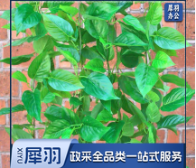仿真绿叶 绿萝叶