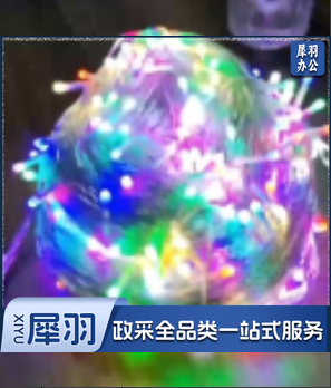 灯串+灯笼 100米 每串 ZTLR0109090322111