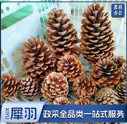 松果饰品野生松塔圣诞装饰摆件幼儿园手工制作DIY材料天然干花球