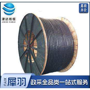 津达线缆 zc-yjv22 4*25+1*16 每米价