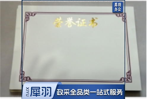 荣誉证书内芯 大奖状 (50张/组)