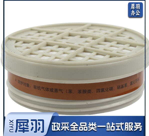Honeywell霍尼韦尔G100CN一对防有机气体