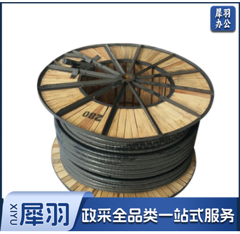 YJV 3*6平方电缆 (米)