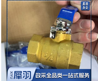 铜截门 DN20(6分)内螺纹