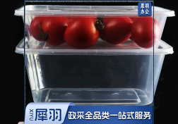 一次性餐盒 透明餐盒 规格：750ML 300套/箱