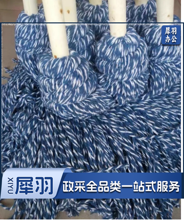 墩布 棉线拖把 传统老式花棉线墩布 清洁墩布 拖布 (10个/捆)