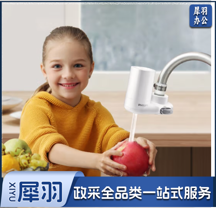 飞利浦（PHILIPS）AWP302 家用净水器原装高效除氯滤芯（适配设备AWP3600）
