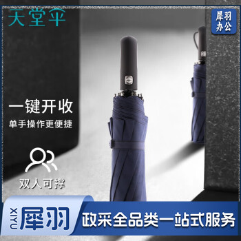 天堂 晴雨伞 10骨加固一键开收 易甩干简约全自动雨伞 藏青30729
