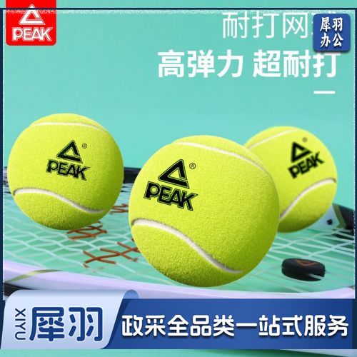 匹克带线网球单人固定训练器底座带绳弹力绳回弹高弹耐打 6只（不带线）专业训练网球