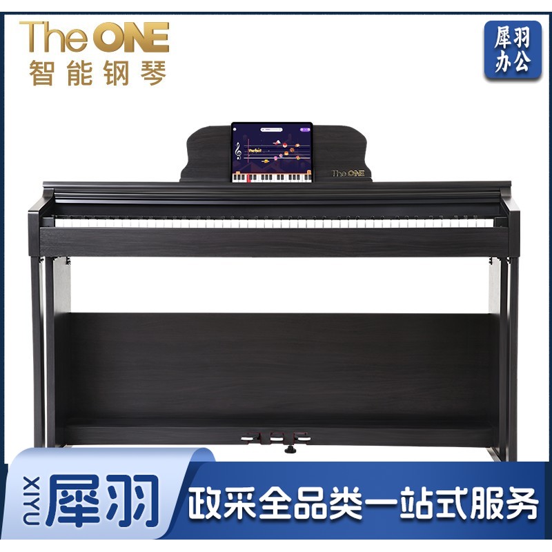 壹枱（The ONE）智能电钢琴 88键重锤数码电子钢琴 儿童初学成人考级 PLAY黑色