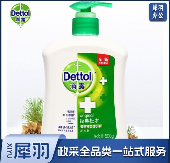 滴露 500g 健康抑菌洗手液经典松木