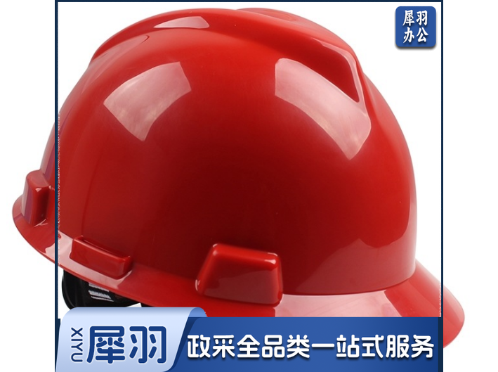 梅思安V-Gard标准型PE安全帽一指键帽衬针织布吸汗带E型下颌带V型