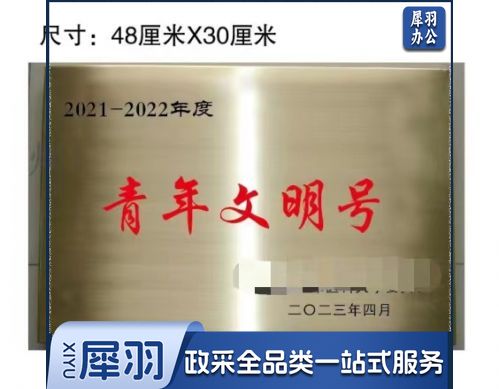 奖牌 门牌 青年文明号奖牌48*30cm 具体定制内容联系客服