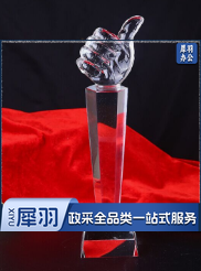 羽毛球比赛奖杯