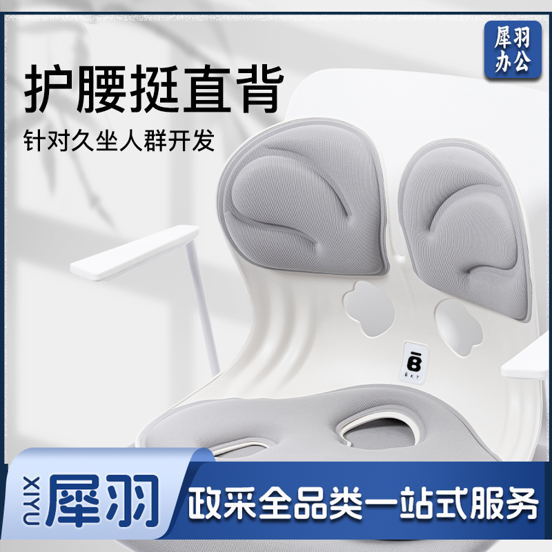 BKT护腰坐垫 靠背人体工学坐姿椅腰托(含定制座套)