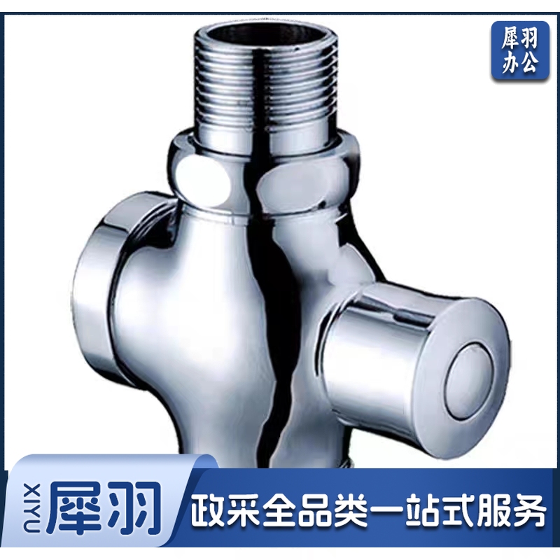 全铜延时冲水阀 特大体 手按式