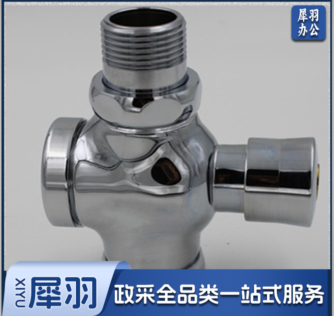 冲洗阀 延时手按冲水阀