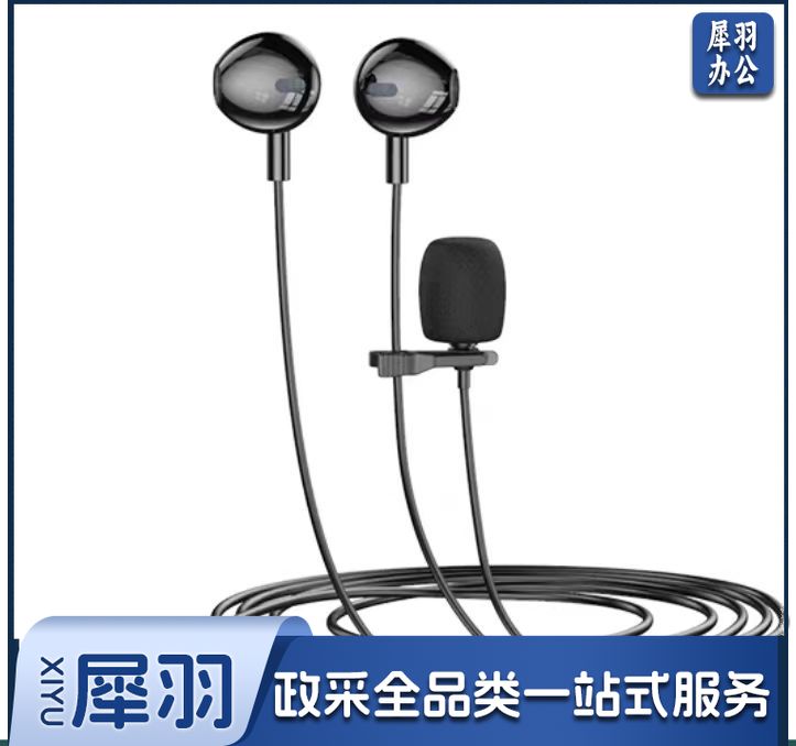 入耳式耳机 有线耳机 麦克风  二合一 TYPE-C 接口