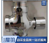手按式蹲便器卫生冲水阀大便器按压式便池冲洗阀门