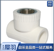 PPR冷热水管配件内丝三通