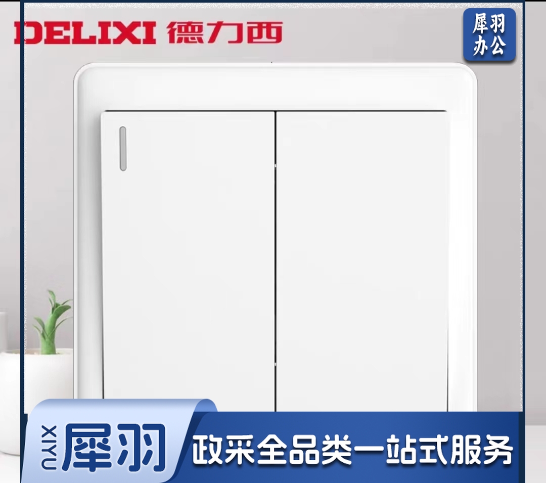 德力西二开单控 双开单控开关