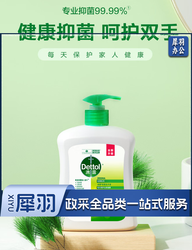 滴露洗手液 滋润倍护健康抑菌洗手液 500g