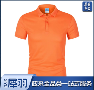 文化衫 T恤 POLO衫 半袖 可定制 具体定制内容联系客服