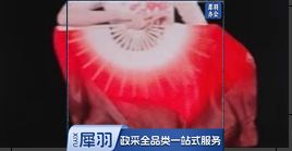 舞蹈扇子 古典舞大红舞蹈扇  扇骨31厘米飘头40厘米 精品仿真丝