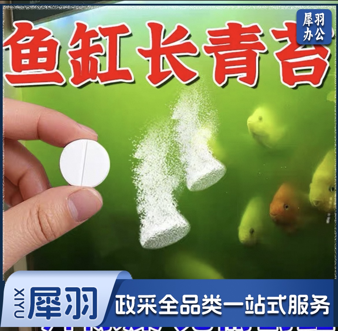 鱼缸除藻片 （100粒/瓶、5瓶起购）