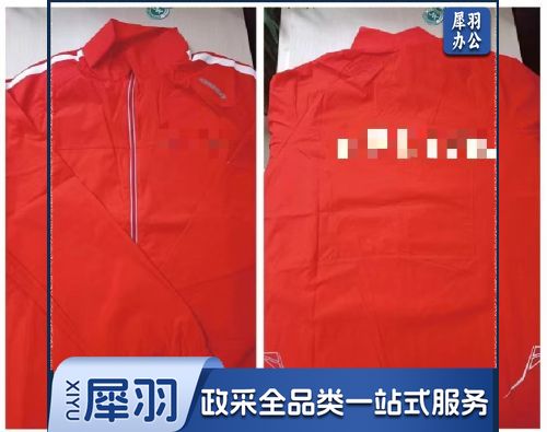 运动服  运动服单上衣