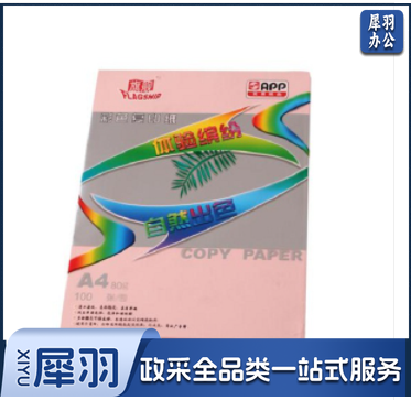 旗舰 A4彩色打印纸 80G 100张/包