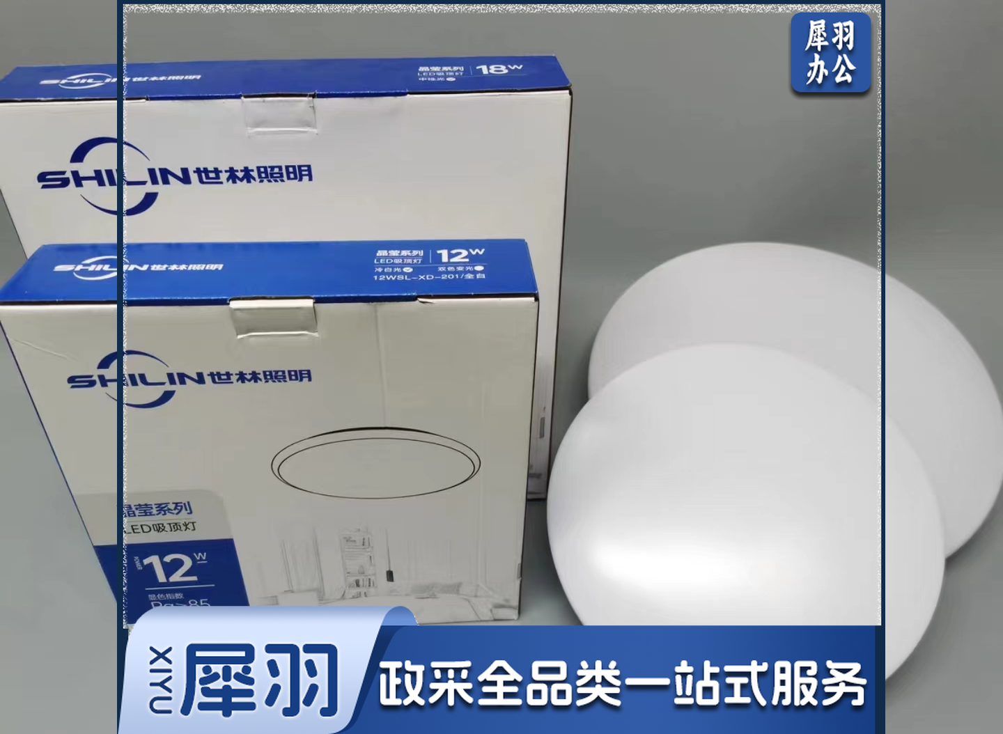 世林 吸顶灯 含灯芯