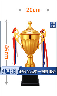 金属奖杯  46*20 cm