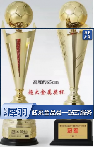 金属奖杯 （A/B款 高度约65cm)