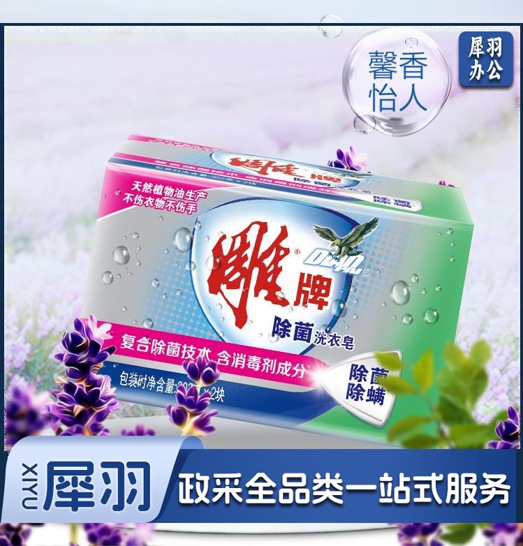 雕牌 除菌洗衣皂/肥皂202g