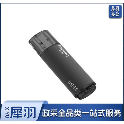 梵想（FANXIANG）1GB U盘 USB2.0 F202-2 黑色