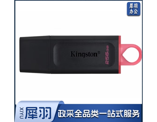 金士顿(Kingston)256GB USB 3.2 Gen 1 U盘 DTKN 金属外壳 读速200MB/s
