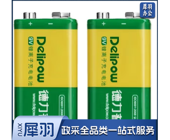德力普（Delipow） 9V充电电池 9V锂电池充电套装 550mAh大容量6F22万用表麦克风 550mAh电池 单位：粒