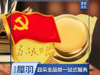 党徽徽章 加厚 吸磁