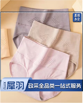 女士内裤（大码）4xl