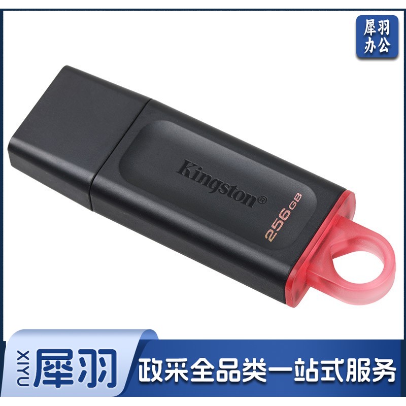 金士顿（Kingston）DTX/256GB U盘 USB3.2 Gen 1 DTX  256GB 黑色