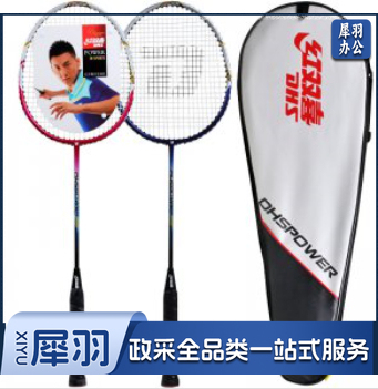 红双喜 羽毛球拍对拍套装